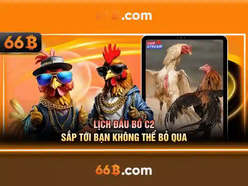 Ưu Đãi Đăng Ký 66B Tặng 333K