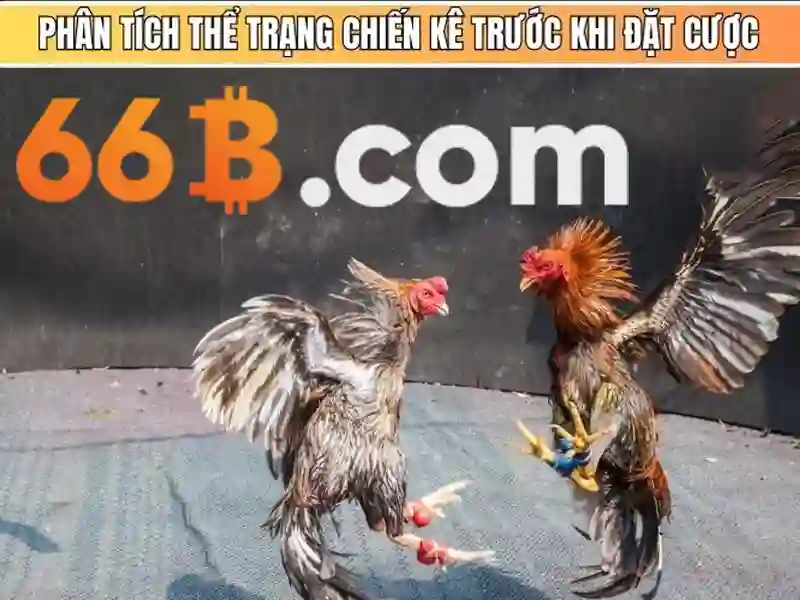chính sách hỗ trợ 66b